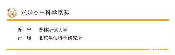 640.webp (36).jpg 640.webp (36).jpg