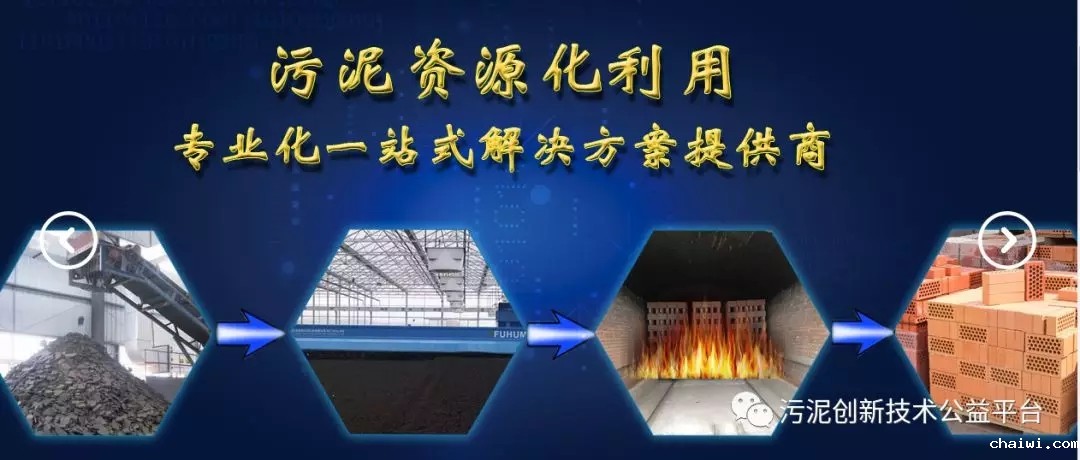 640.webp.jpg 640.webp.jpg