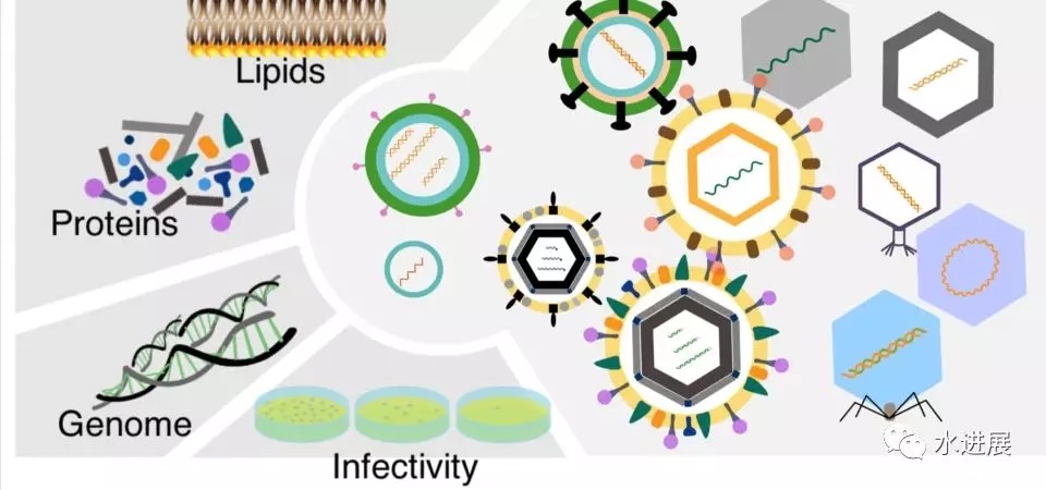 640.webp (36).jpg 640.webp (36).jpg