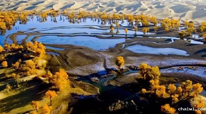 640.webp (6).jpg 640.webp (6).jpg